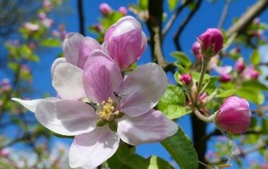 График работы на Майские празники 2021